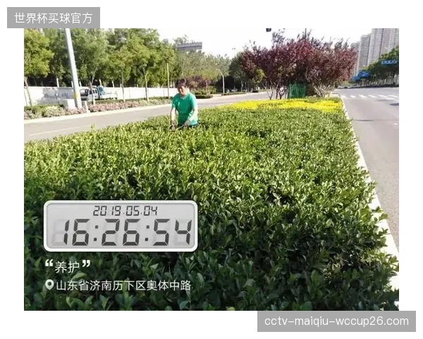 杭州奥体中心地下传感网接管草皮养护全周期